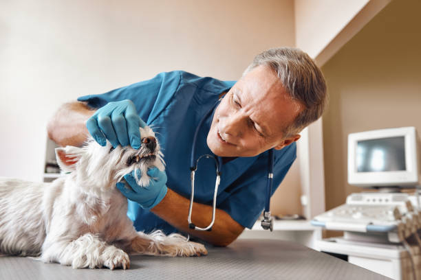 Best After-Hours Emergency Dentist in Gifford, FL